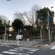 広い公園を散歩して