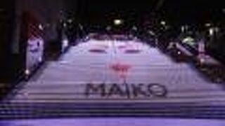 見ごたえあります