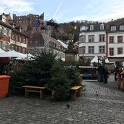 ハイデルベルク城へ登るケーブルカーの駅へいく途中