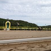 昔ながらの競馬場