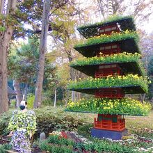 菊祭りらしい展示物