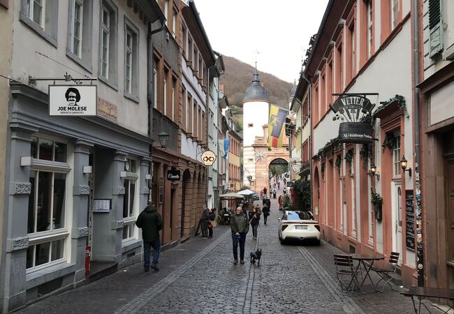 ハイデルベルクの旧市街では一番人通りの多い通り