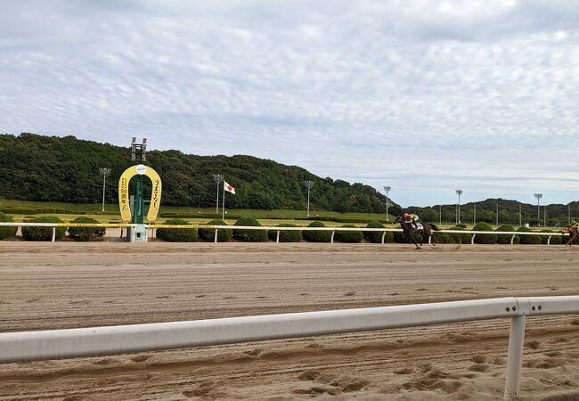 昔ながらの競馬場