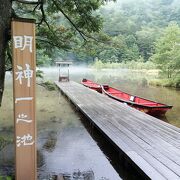 雨でラッキー