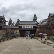 あいにくの雨模様でしたが紅葉の時期だったので欅や楓がきれいでした。