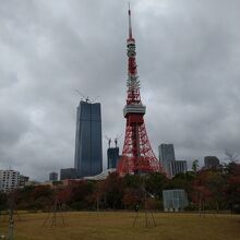 公園中央の芝生広場から撮影