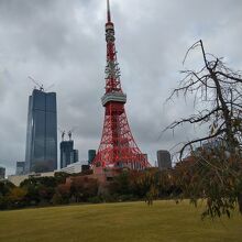 公園中央の芝生広場から撮影