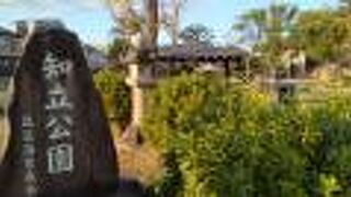 ドウダンツツジがきれいに紅葉してました