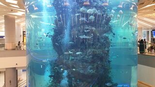 きれいだが市内から遠い