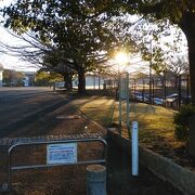 小さな丘の上からは富士山も望める公園