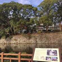 小田原城址公園のお堀沿い