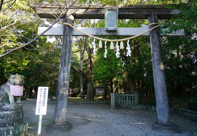 秦神社 クチコミ・アクセス・営業時間|高知市【フォートラベル】 秦神社 クチコミ・アクセス・営業時間|高知市【フォートラベル】