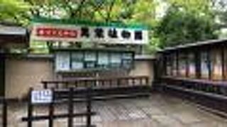 日本最古の植物園！