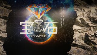 2022年の特別展