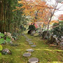 ここが一番美しく感じました