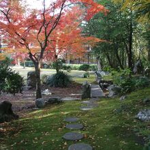 季節も紅葉が美しく見れるタイミングで良かったです。