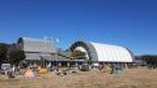 「第15回年の瀬マラソン」に出走 （県営所沢航空記念公園）