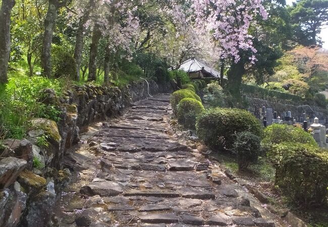 曽我兄弟ゆかりのお寺。桜がきれい。足湯がある。