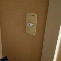 室温調整はクローゼットの中と珍しいです