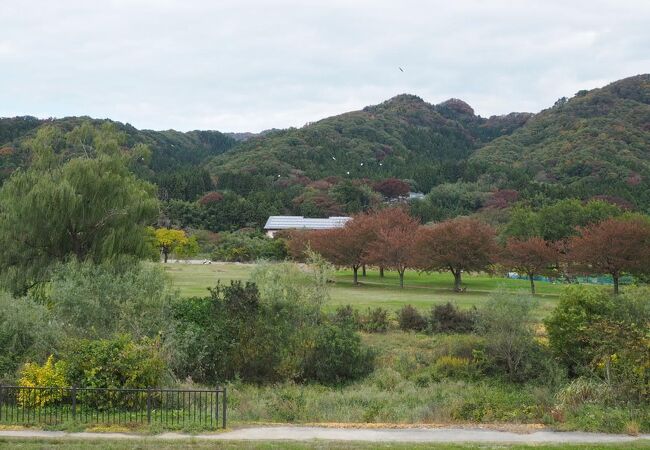 広くて静かな公園でした。