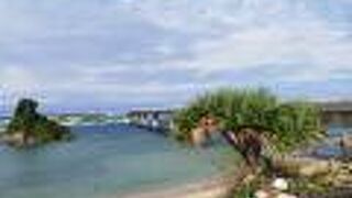 本日のハイライトだった古宇利大橋が晴れててよかった。