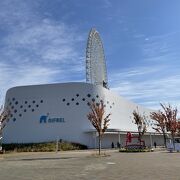 ミュージアムのような、水族館のような