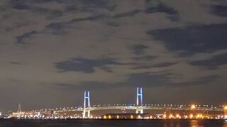 美しい橋を眺める