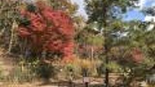 秋も深まった周りの景色を楽しみに