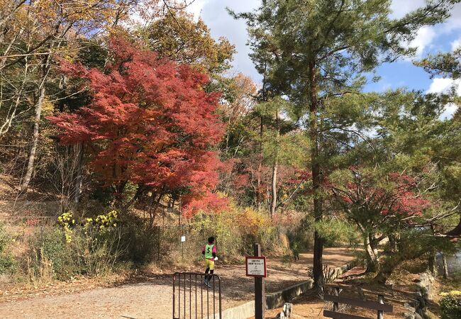 秋も深まった周りの景色を楽しみに