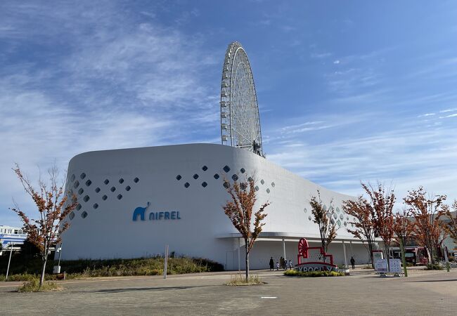 ミュージアムのような、水族館のような