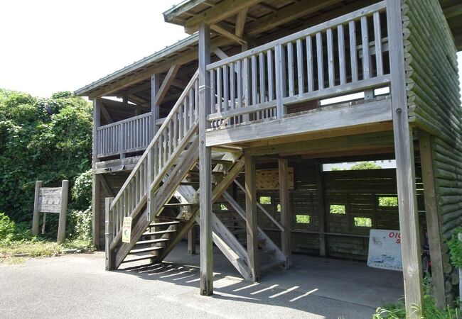 大井川河口野鳥園