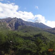 この展望所からの桜島や錦江湾の景観は素晴らしかったです！