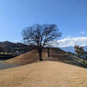 甲府盆地を一望