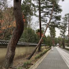 さすがの大本山…境内は広い！