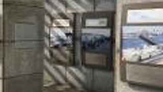 災害の怖さを知る