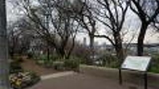 菊名桜山公園 / カーボン山