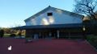 千両箱の持ち上げ体験と世界一の金塊にタッチ