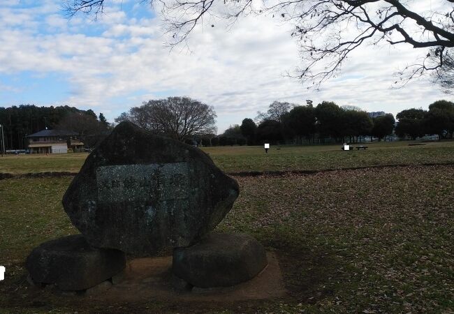 縄文時代中期から後期の貝塚