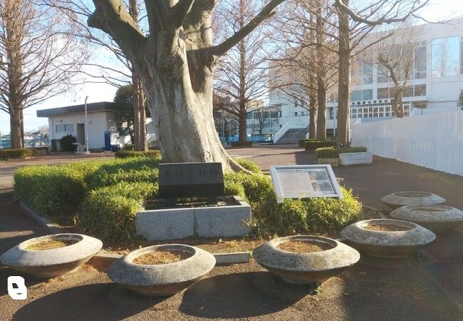 高台の上にある遺構