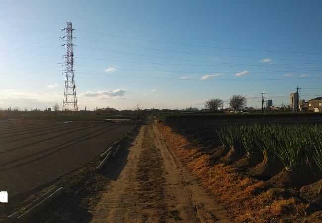 農道のような開放感のある散歩道