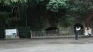 鹿児島シティビューで西郷洞窟に行くことができます。