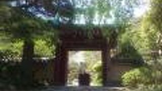 歴史を感じる本堂と、赤い山門が印象的