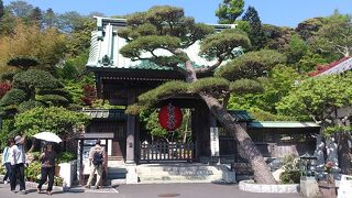 鎌倉散策では忘れずに立ち寄りたい寺院の一つ