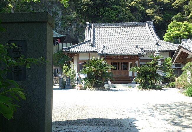 美しい桜のお寺としても有名