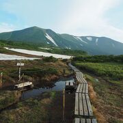 緑岳から白雲岳、赤岳へ花を見ながら縦走