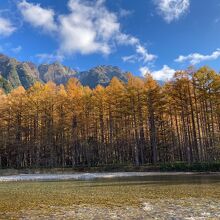 梓川とカラマツです。