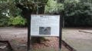 14世紀に築かれた「上山城」の跡地だそうです。