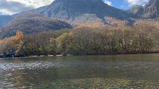 大正池といえば立ち枯れ木！でも大分減ってちょっと残念でした