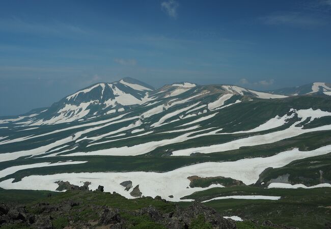 ゼブラ模様の大雪山を眺められる絶景の山