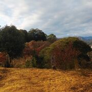 中世にかけて存在した平山城